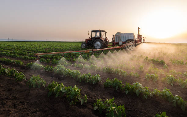 Professional Pest Control in Maytown, PA